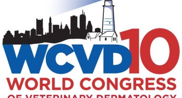 Annual Conference